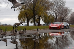 Detroit - Belle Isle, già  sede GP di F1
