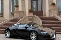 Bugatti_veyron-FBG_48_1920x1200