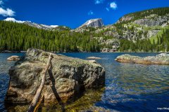 Blues of Bear Lake