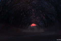 ЯКартинка.РФ-Обои-2880х1620.-Космос-ночью-43