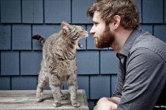 ЯКартинка.РФ-2560х1440.-Коты-и-кошки-40