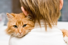 ЯКартинка.РФ-2560х1440.-Коты-и-кошки-52