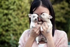 ЯКартинка.РФ-2560х1440.-Милые-собаки-18