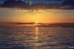 from the boat