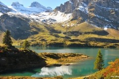 ЯКартинка.РФ-Обои-2560х1440.-Поля-в-горах-13