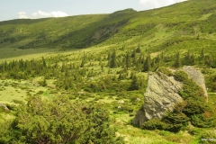 ЯКартинка.РФ-Обои-2560х1440.-Поля-в-горах-14