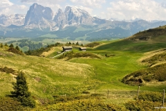 ЯКартинка.РФ-Обои-2560х1440.-Поля-в-горах-18