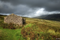 ЯКартинка.РФ-Обои-2560х1440.-Поля-в-горах-2