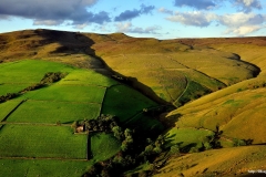 ЯКартинка.РФ-Обои-2560х1440.-Поля-в-горах-23