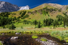 ЯКартинка.РФ-Обои-2560х1440.-Поля-в-горах-3