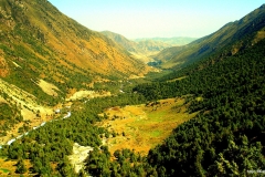 ЯКартинка.РФ-Обои-2560х1440.-Поля-в-горах-4