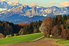 ЯКартинка.РФ-Обои-2560х1440.-Поля-в-горах-5