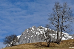 ЯКартинка.РФ-Обои-2560х1440.-Природа-13