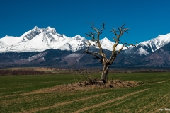 ЯКартинка.РФ-Обои-2560х1440.-Природа-19