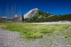 ЯКартинка.РФ-Обои-2560х1440.-Природа-2