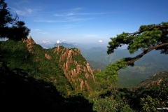 ЯКартинка.РФ-Обои-2560х1440.-Природа-20