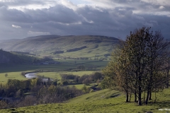 ЯКартинка.РФ-Обои-2560х1440.-Природа-23