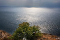 ЯКартинка.РФ-Обои-2560х1440.-Природа-26