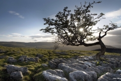 ЯКартинка.РФ-Обои-2560х1440.-Природа-34