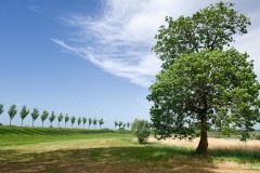 ЯКартинка.РФ-Обои-2560х1440.-Природа-41