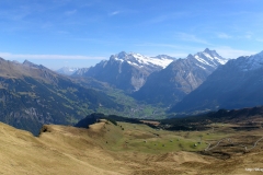 ЯКартинка.РФ-Обои-2560х1440.-Природа-51