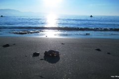 ЯКартинка.РФ-Обои-2560х1440.-Природа-54