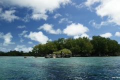 ЯКартинка.РФ-Обои-2560х1440.-Природа-55