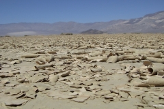 ЯКартинка.РФ-Обои-2560х1440.-Природа-58