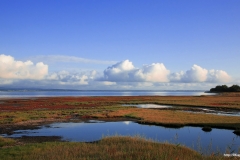 ЯКартинка.РФ-Обои-2560х1440.-Природа-65