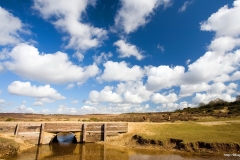 ЯКартинка.РФ-Обои-2560х1440.-Природа-71