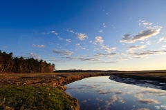 ЯКартинка.РФ-Обои-2560х1440.-Природа-81