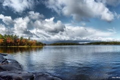 ЯКартинка.РФ-Обои-2560х1440.-Природа-87