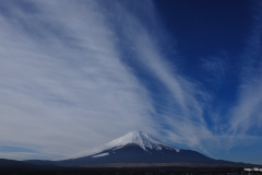 ЯКартинка.РФ-Обои-2560х1440.-Природа-91