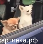 2 типа людей по утрам