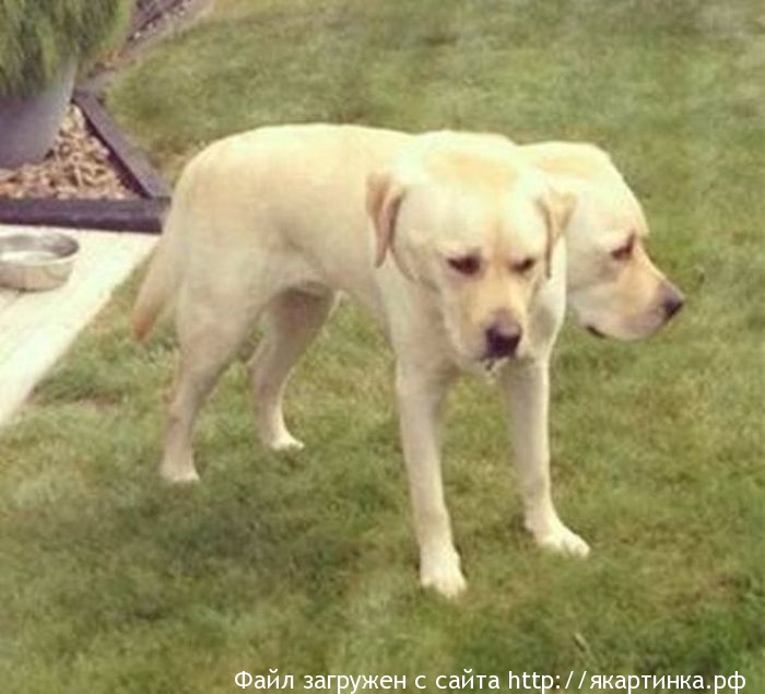 Неудачные панорамные фото