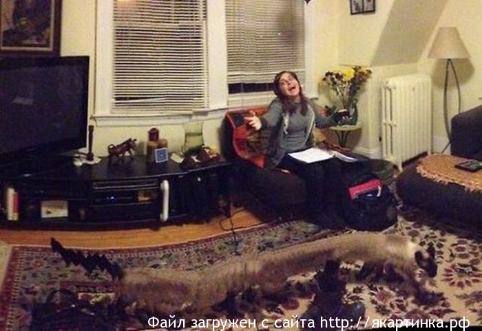 Неудачные панорамные фото