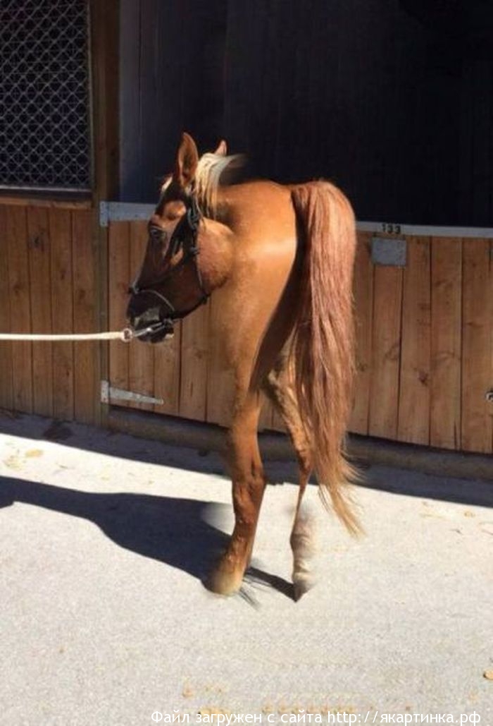 Неудачные панорамные фото