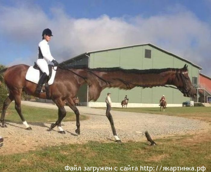 Неудачные панорамные фото