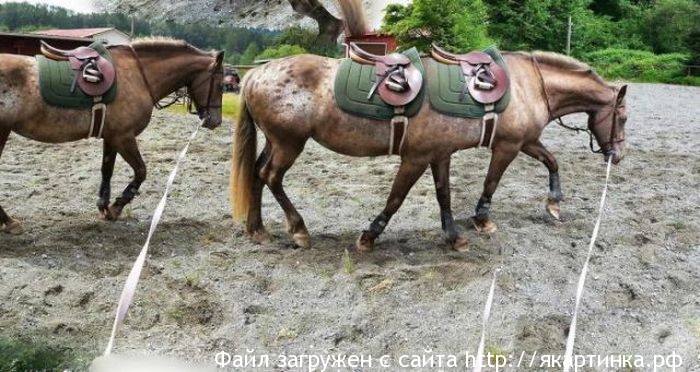 Неудачные панорамные фото