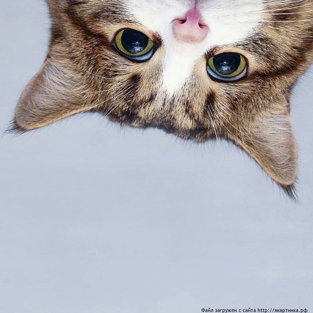 Подготовка к марту