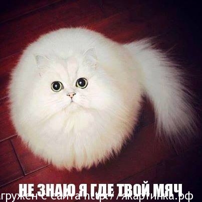 Что здесь не так!