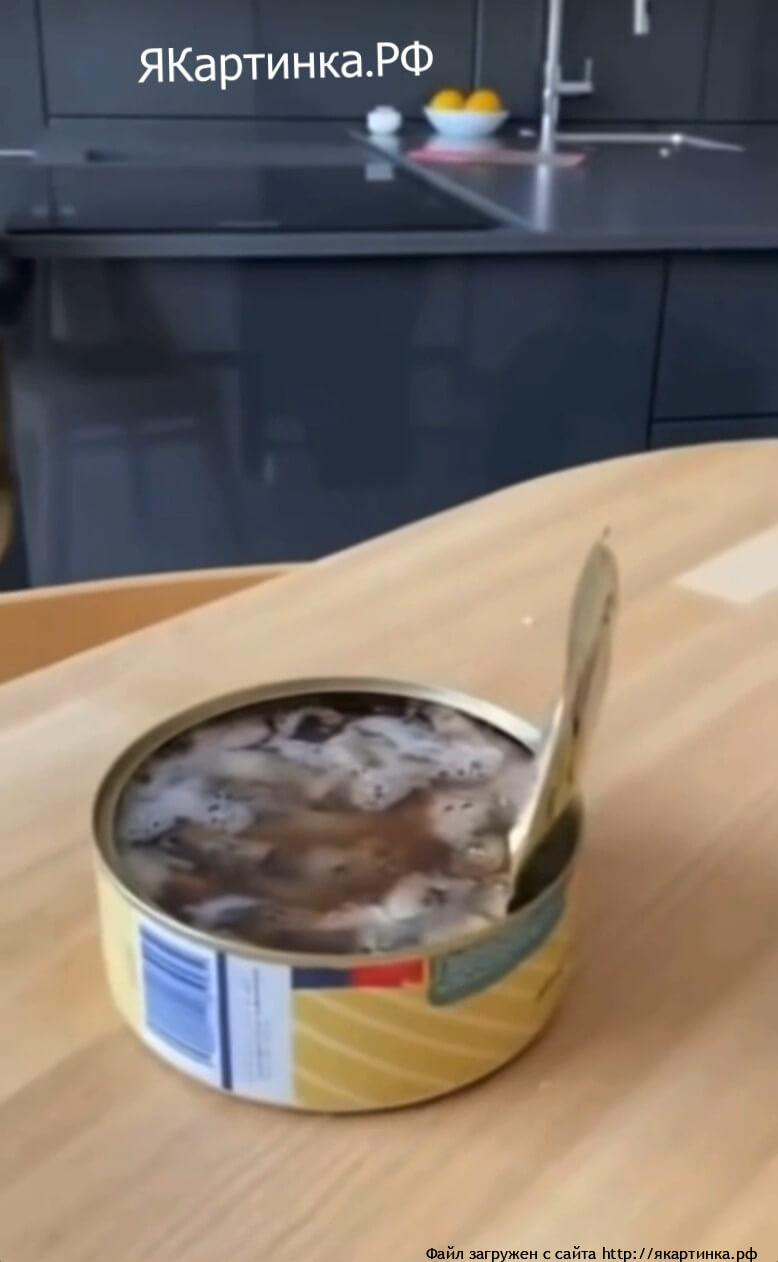 Сюрстрёмминг