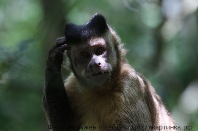 Как дальше жить?