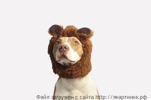 Когда посмотрел в зеркало, и понял на сколько ты офигенный