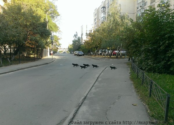 Иду я, значит, на заседание...