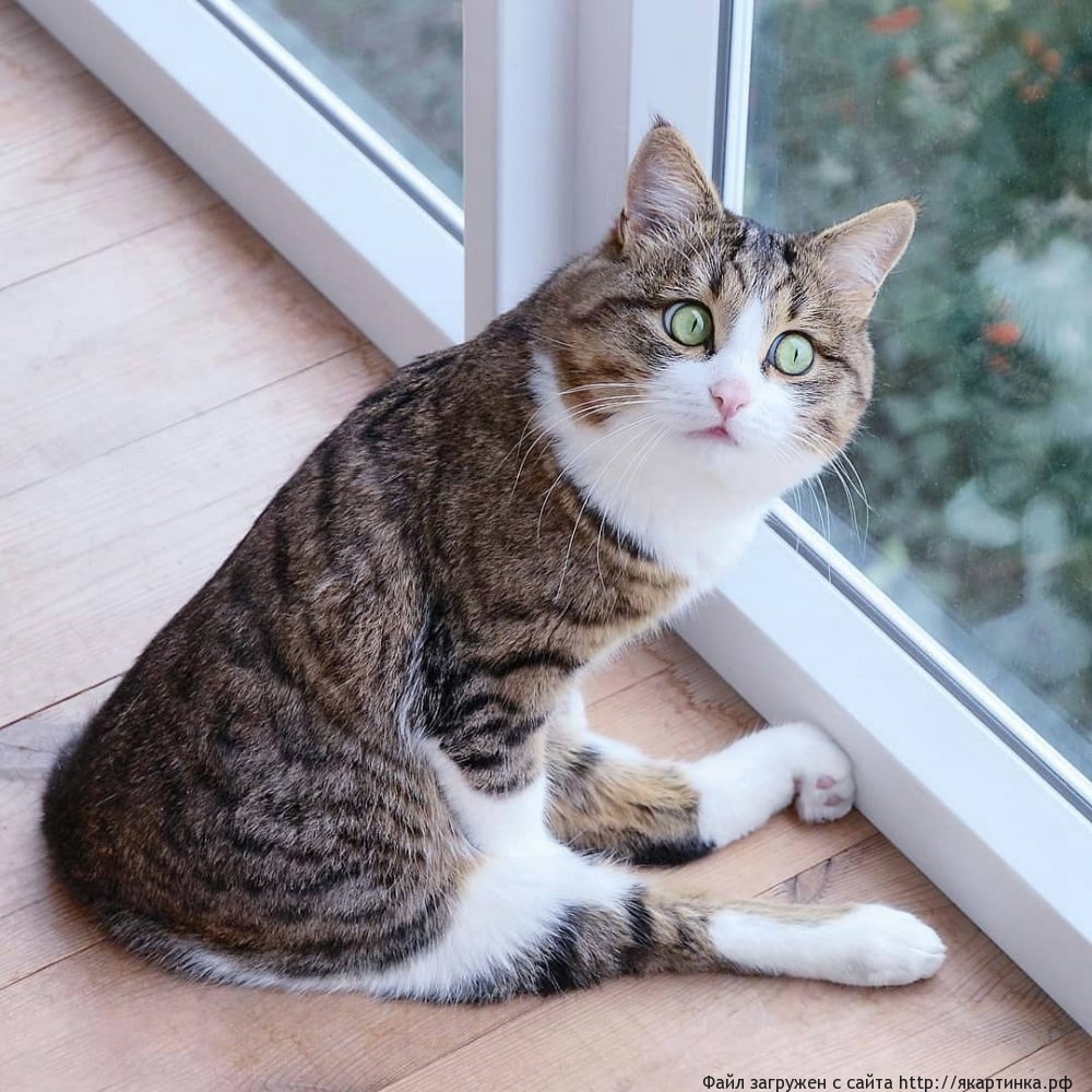 Подготовка к марту