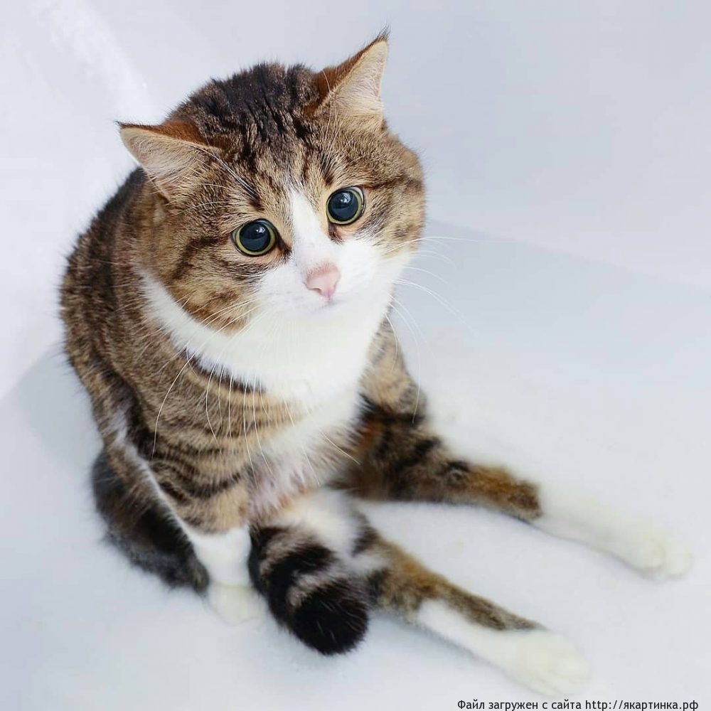 Подготовка к марту