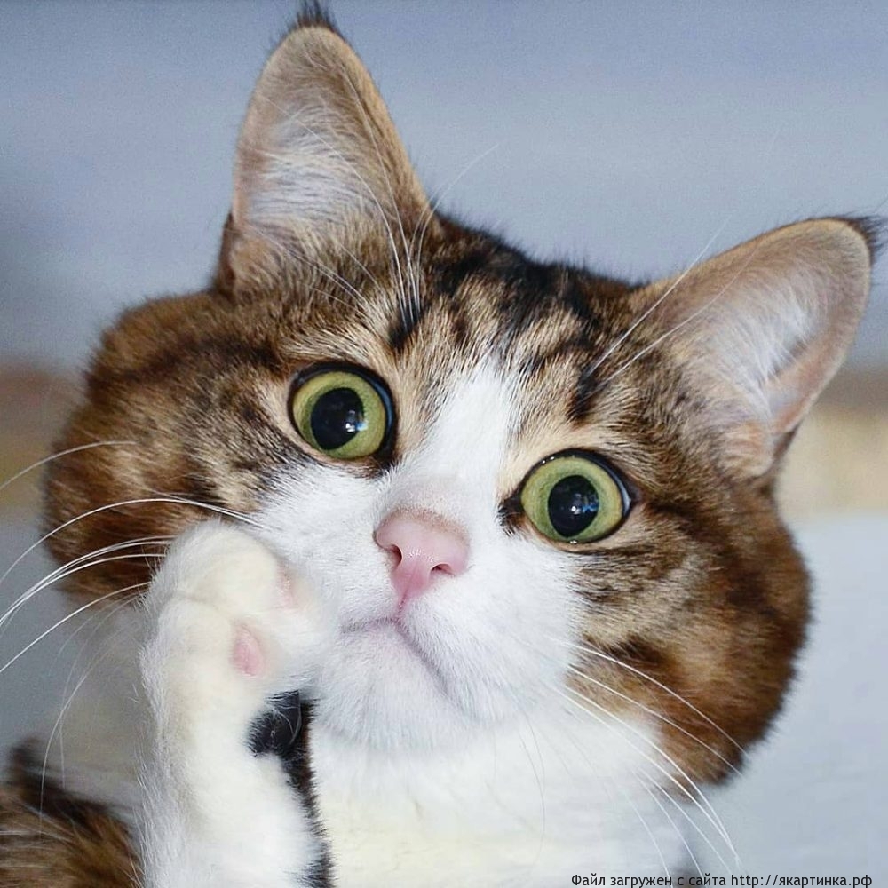 Подготовка к марту