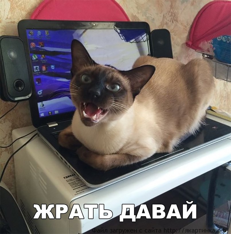 Вот и поиграл на ноутбуке