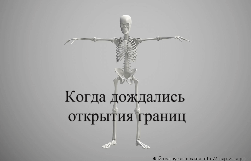 Когда дождались открытия границ после коронавируса